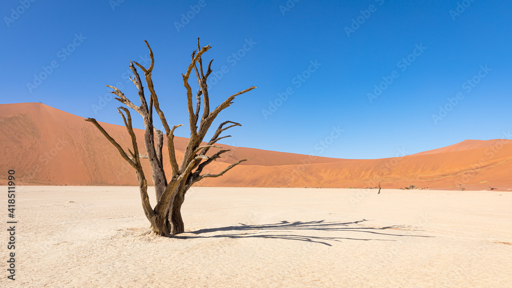 Dead camelthorn trees against dunes and blue sky in Deadvlei, Sossusvlei. Namib-Naukluft National Park, Namibia.	
