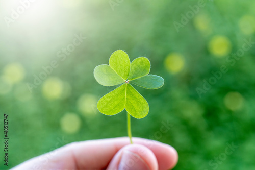 St. Patrick's Day green shamrock. Luck charm.Background, card, poster or banner in high resolution