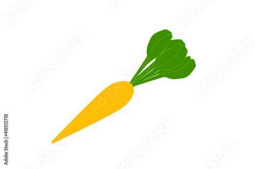 carrot. Fresh cartoon vegetable isolated on white background.