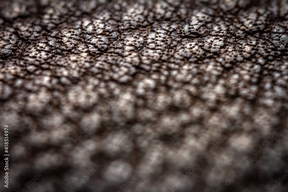 Naklejka premium Extreme closeup of a leather
