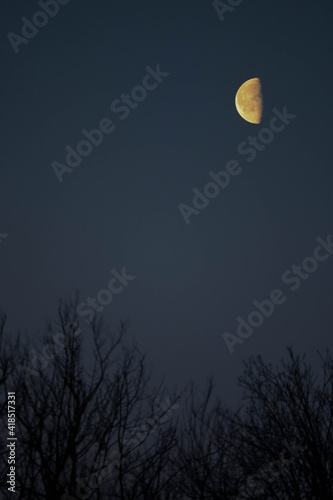 half a moon in the morning sky © Sergei Timofeev