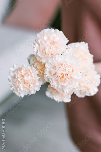 Bouquet of carnations in the hands of a woman for a holiday