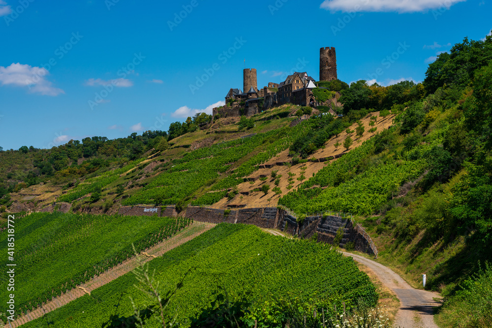 The ruins of Thurant Castle on the Moselle, Germany.