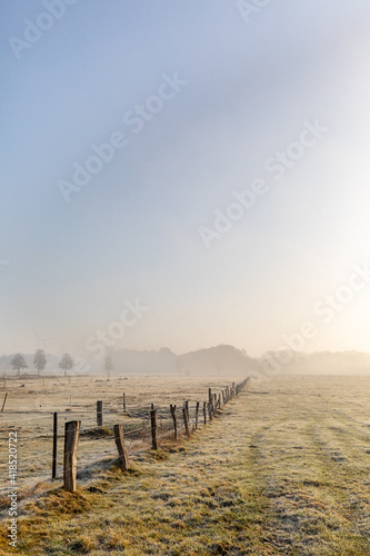 Misty morning scene in winter February