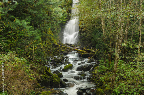 Waterfall in lush forest. British Columbia.
