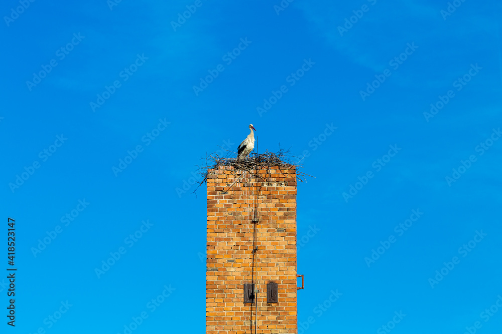 White stork (Ciconia ciconia) standing in nest on old high brick chimney. Big white bird with long red beak over blue sky. White stork (Ciconia ciconia) standing in nest on old high brick chimney. Big white bird with long red beak over blue sky.