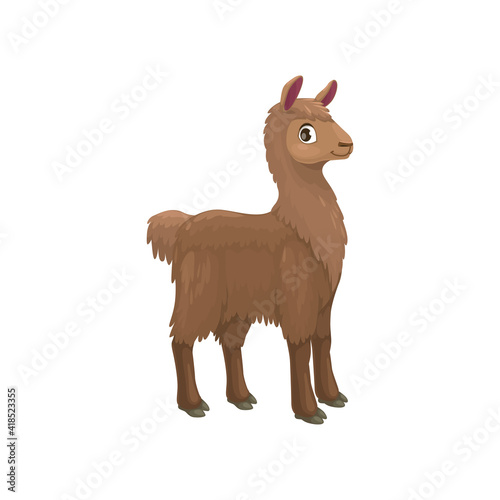 Brown alpaca or lama isolated LLama, South American hoofed mammal. Vector domesticated pack animal of camel family in Andes, valued for its soft woolly fleece. LLama baby character, guanaco wild lama