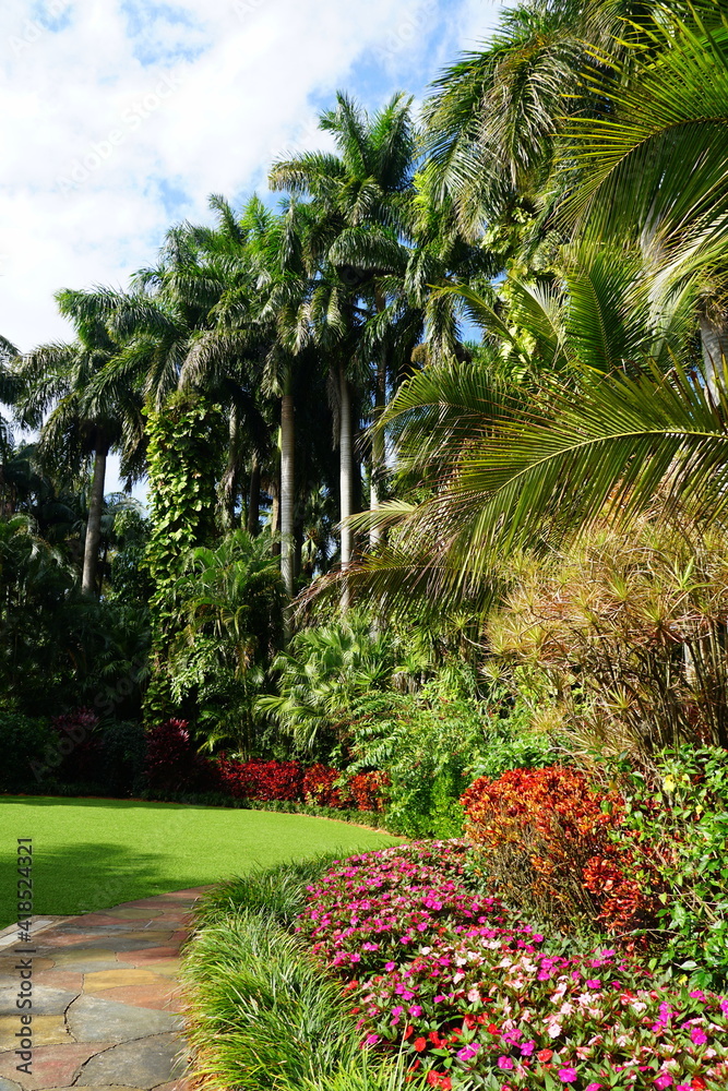 A tropical garden with variety of green plants and tall palm trees