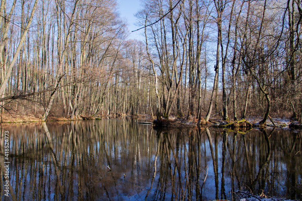 Obraz premium Przedwiośnie.