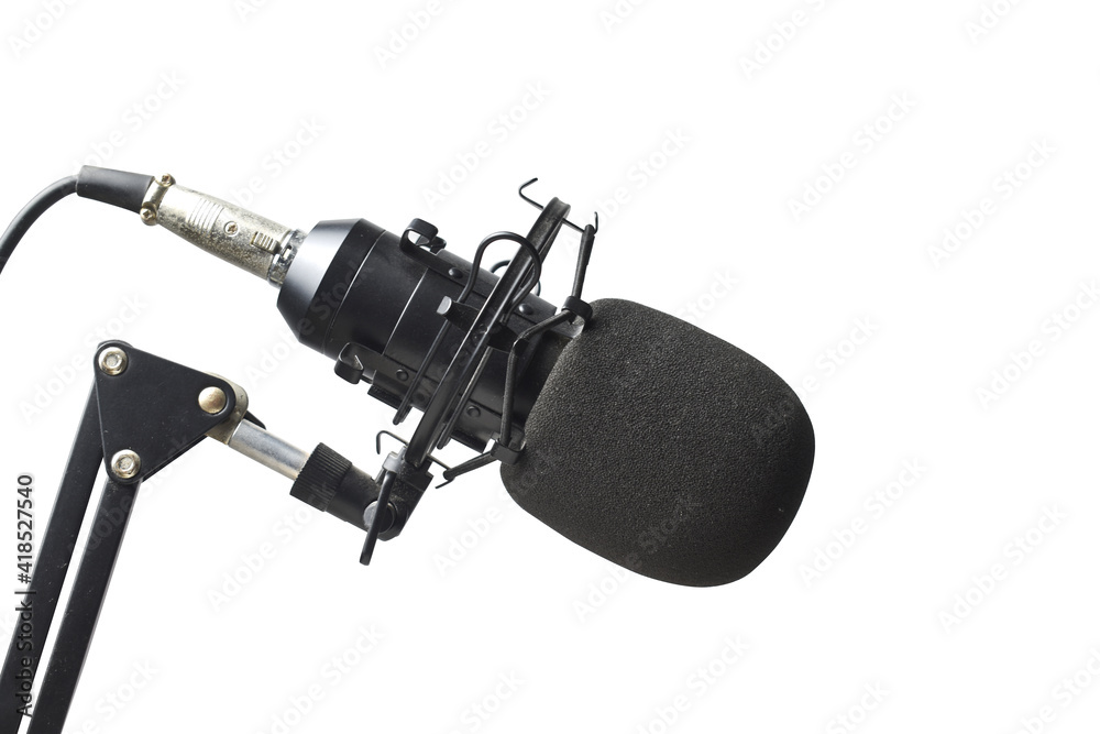 The microphone is isolated on a white background. Clipping path The microphone is isolated on a white background. Clipping path