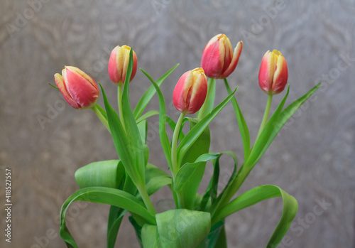 Fototapeta Naklejka Na Ścianę i Meble -  tulips in vase