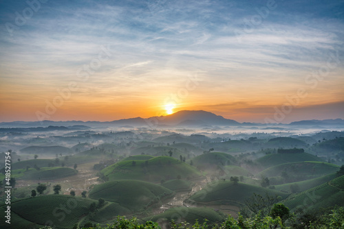 Sunrise in Tea hills in Long Coc highland  Phu Tho province in Vietnam