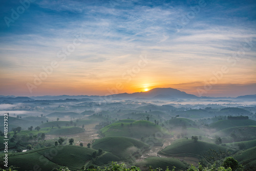 Sunrise in Tea hills in Long Coc highland, Phu Tho province in Vietnam