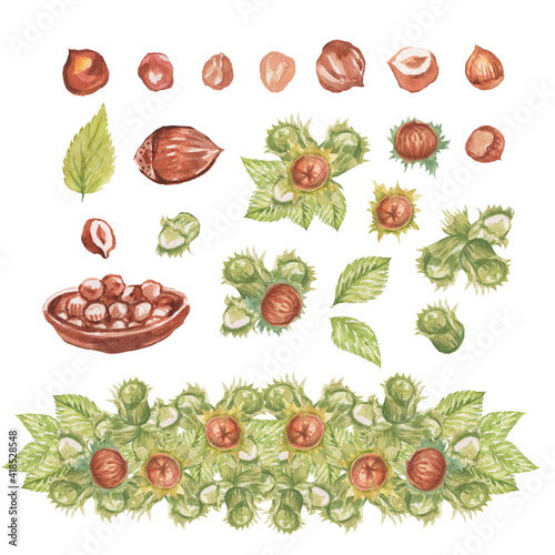 Hazelnuts. Hand drawn watercolor illustration. Healthy food natural products vitamins. Sketch print textile  patern set