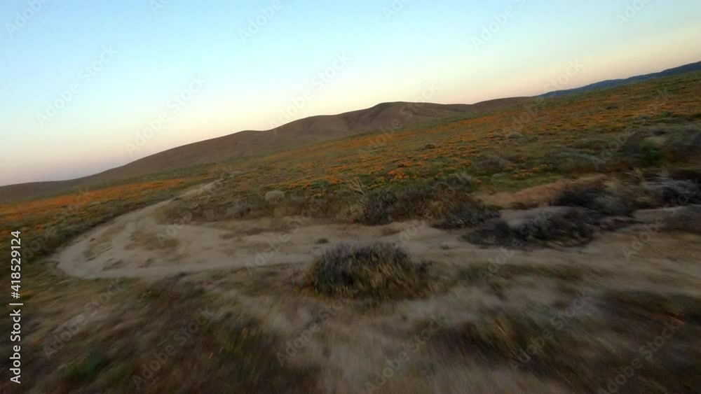 Aerial moving low and fast along a dirt road and through a wide dry valley plain at dusk with brush, wildflowers, and rolling hills in the background - Antelope Valley, California