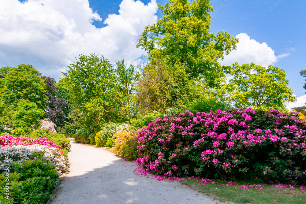 Naklejka premium Fontainebleau park (Chateau de Fontainebleau garden) near Paris, France
