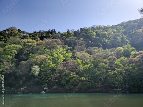 KYOTO  JAPAN - APRIL 5  2018  Dense  green forest in Arashiyama  Kyoto. On the opposite bank of the Katsura River  large trees can be seen growing in the park area.