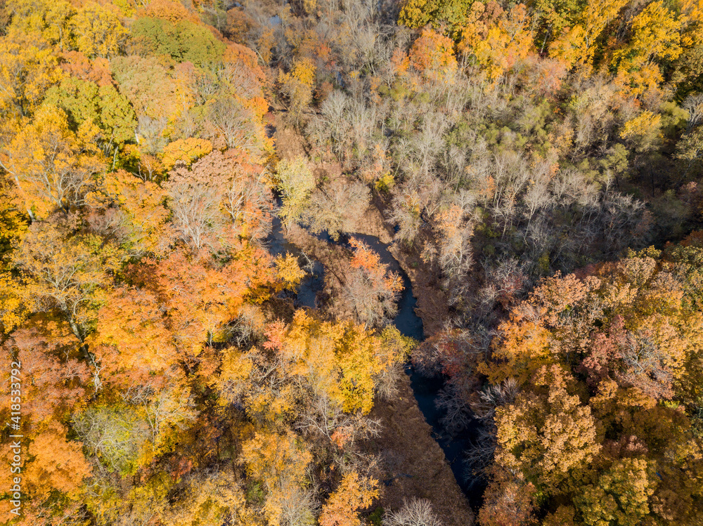 Aerial drone image of colorful autumn trees in the northeast unitd states with a small brook or creek flowing around the trees Aerial drone image of colorful autumn trees in the northeast unitd states with a small brook or creek flowing around the trees