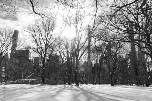 Beautiful Black and White Central Park Winter Landscape with Snow and the Midtown Manhattan Skyline in New York City