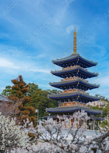 兵庫県宝塚にある春の中山寺