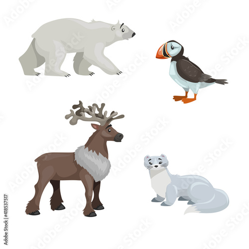 Arctic animals set. Polar bear  arctic puffin bird  reindeer and polar ermine. Cartoon flat design. Vector illustrations isolated on white background.
