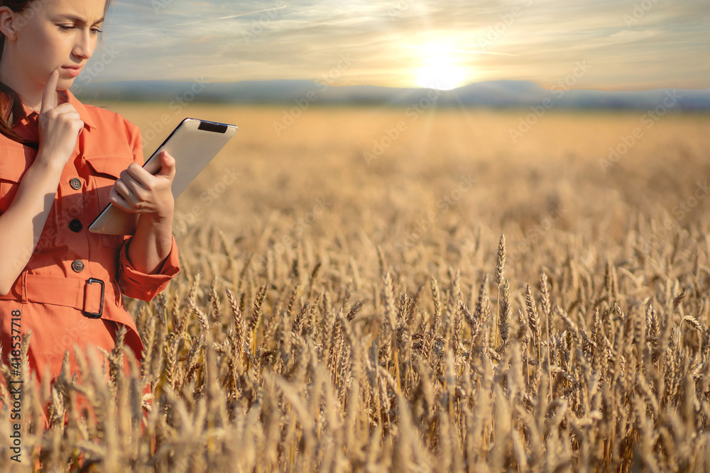 Agronomist checking the field of cereals and sends data to the cloud from the tablet. Smart farming and digital agriculture concept. Agronomist checking the field of cereals and sends data to the cloud from the tablet. Smart farming and digital agriculture concept.