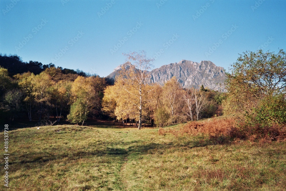 Fototapeta premium Monte Barro - Pian Sciresa
