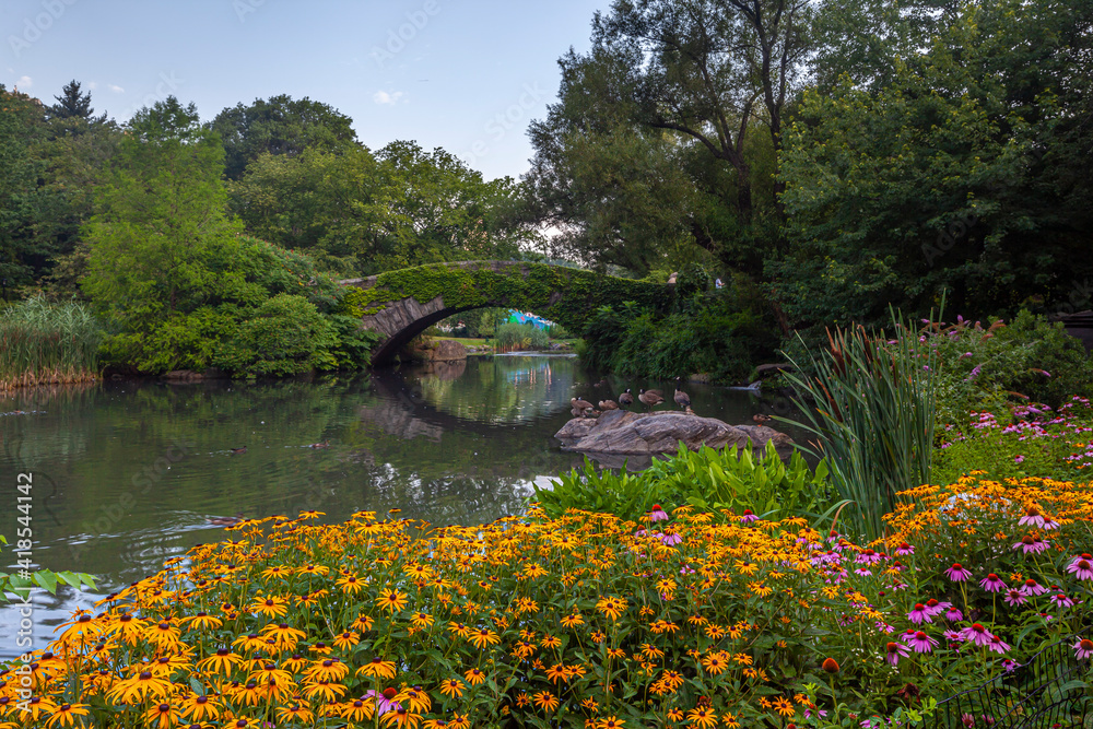 Fototapeta premium Gapstow Bridge in Central Park