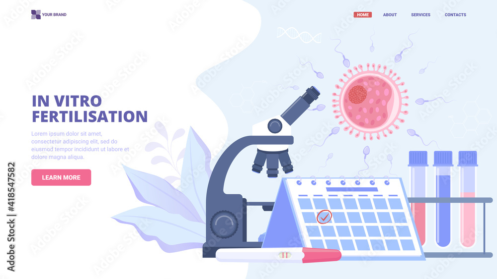 In vitro fertilisation flat vector illustration. Concept for medical clinic, hero image, banner, landing page, web page, site design. Ovulation, conception, artificial insemination, pregnancy support