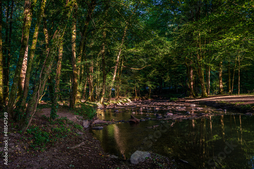 Fototapeta Naklejka Na Ścianę i Meble -  forest river in Altenberg, Germany.