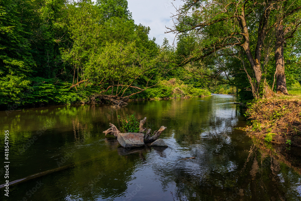 forest river in Altenberg, Germany. forest river in Altenberg, Germany.