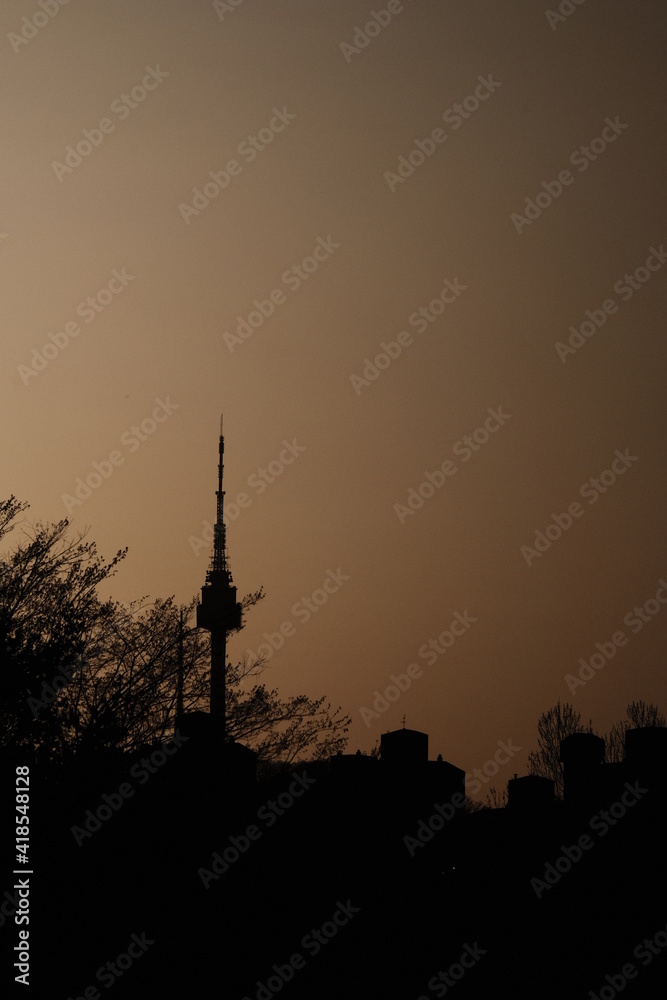 Obraz premium Seoul N tower