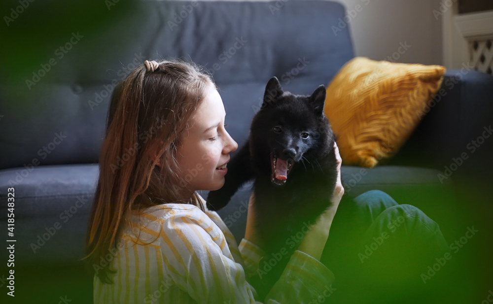 Obraz premium Tween girl playing with puppy at home.
