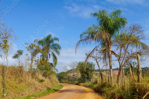 Estrada rural em Guarani  estado de Minas Gerais  Brasil