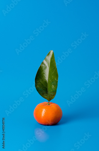 Tangerine with a big leaf isolated in a blue background
