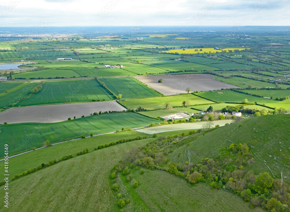 Fields of Wiltshire at Westbury 
