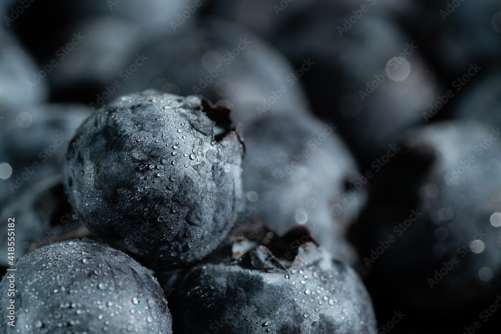 Blueberries in drops of water. Berries background. Close up, selective focus