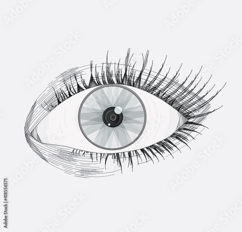 Vector illustration of a realistic left eye, with lashes, made and shaded based on lines, isolated on a light gray background