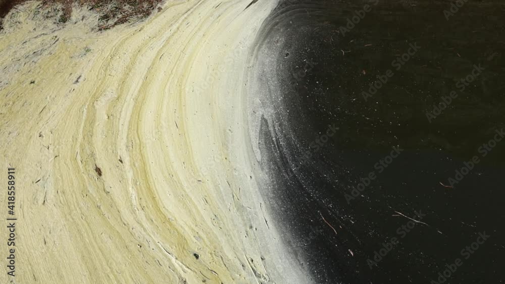 pollution sur les bord d'un canal