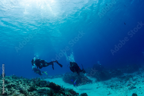 scuba diver and reef © Bruce