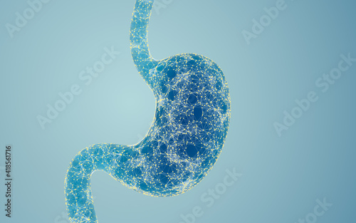 Human Internal Stomach with digital lines, 3d rendering.