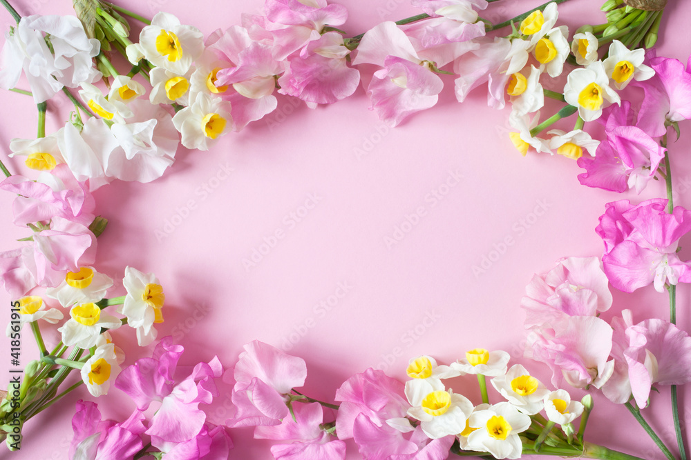 Pink sweet peas and daffodils, floral spring background, space for text, congratulations