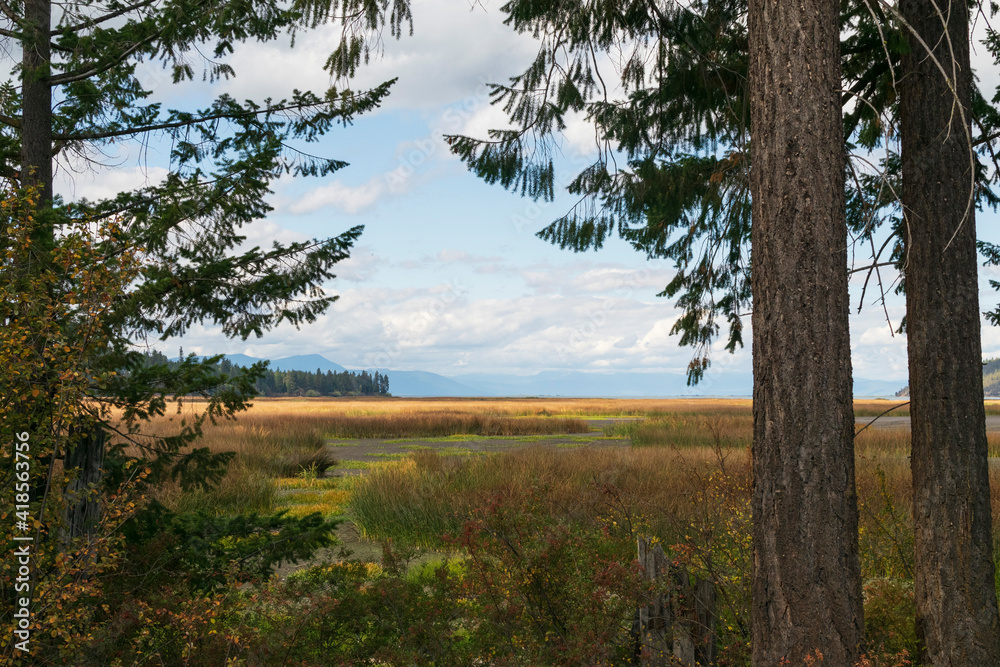 Obraz premium Autumn at Eagle Ridge Trail, Klamath County, Oregon, overlooking Shoalwater Bay.