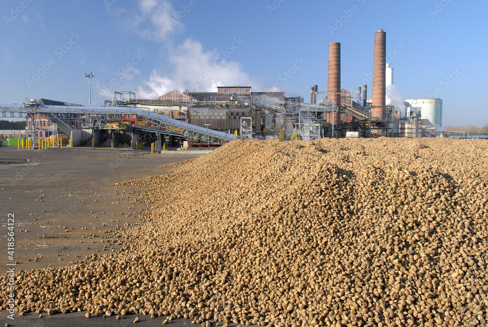 Sucrerie Saint Louis Sucre, Eppeville (Somme), groupe Sudzucker. Aire de stockage betteraves Sucrerie Saint Louis Sucre, Eppeville (Somme), groupe Sudzucker. Aire de stockage betteraves