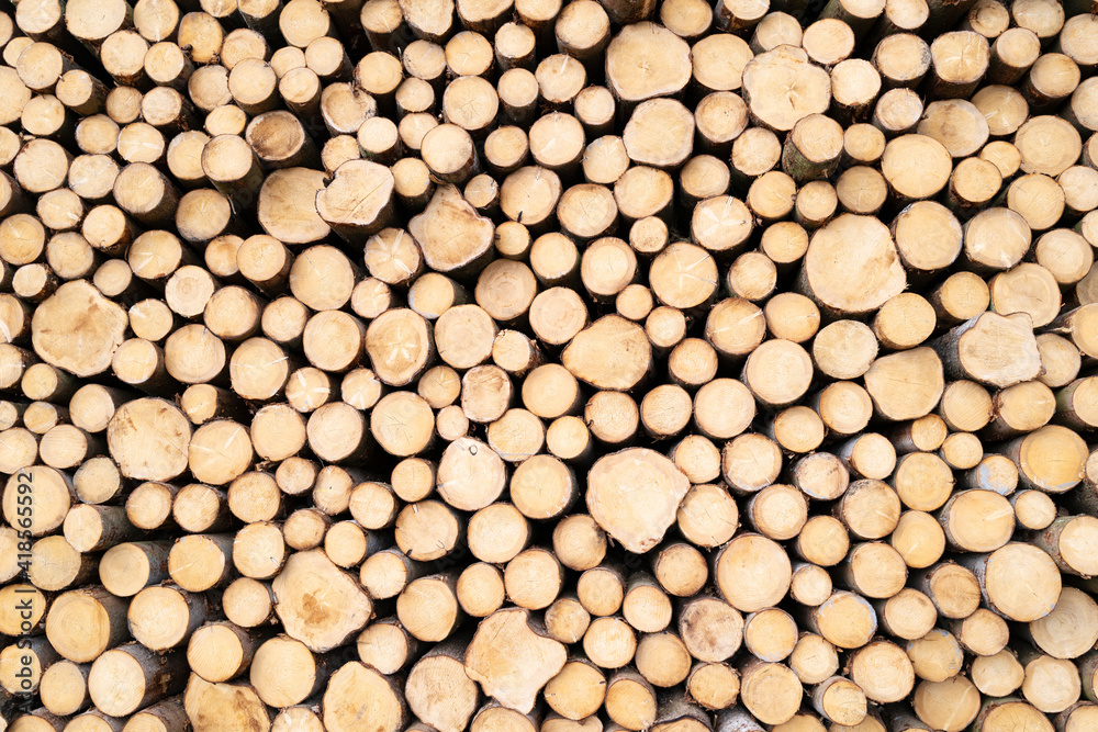 Pile of wood logs Pile of wood logs