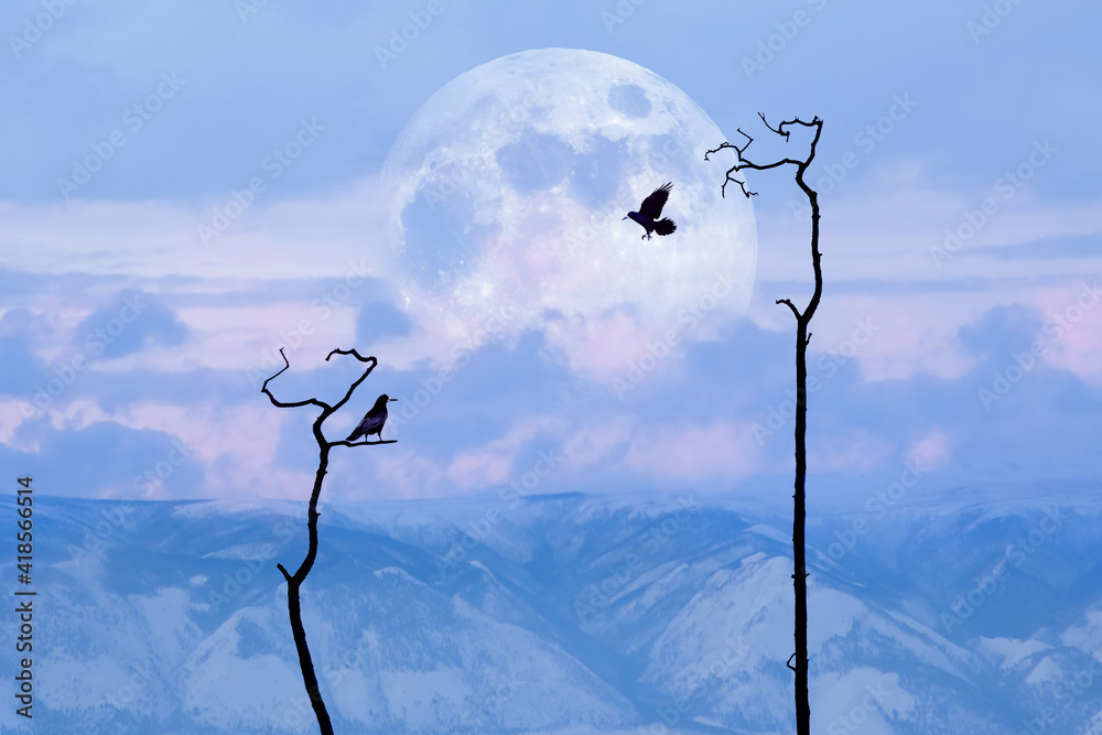 Obraz premium Lonely dry trees and raven against the background of the moon and rocks. Sunset landscape in a minimalistic style.