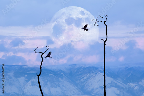 Lonely dry trees and raven against the background of the moon and rocks. Sunset landscape in a minimalistic style.