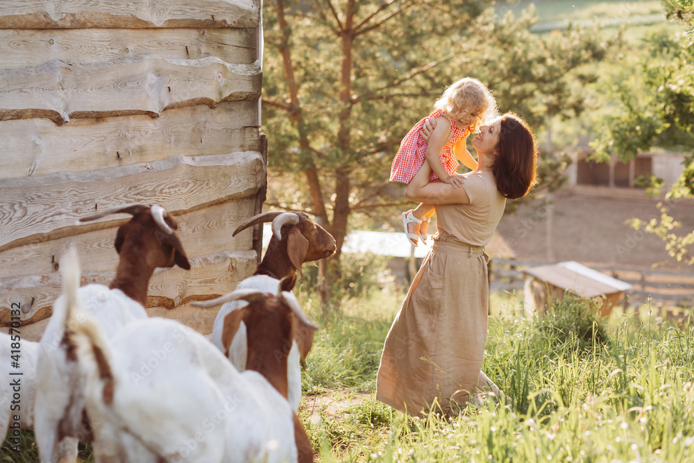 A mother and her beautiful and curly daughter graze goats on an eco farm