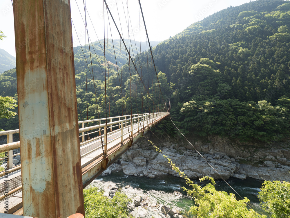 Puente sobre el río Yoshino, en el Valle de Iya, en la isla de Shikoku