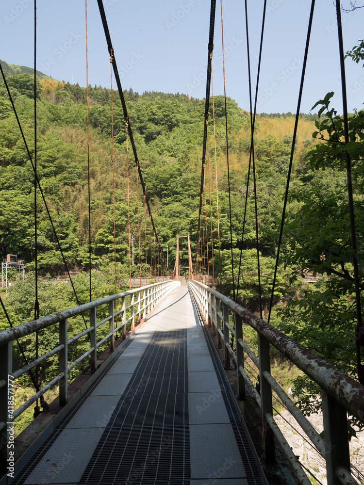 Obraz premium Puente sobre el río Yoshino, en el Valle de Iya, en la isla de Shikoku, Japón